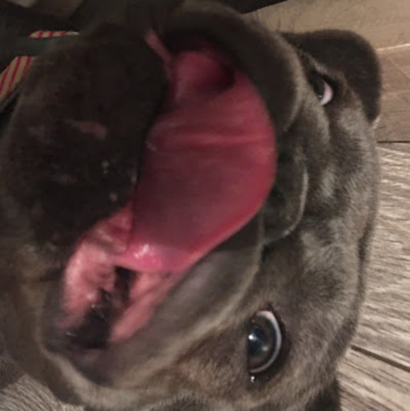 Meet your Posher, Thatguy - Picture 1 of 1